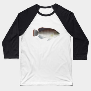 Blue Tilapia Baseball T-Shirt